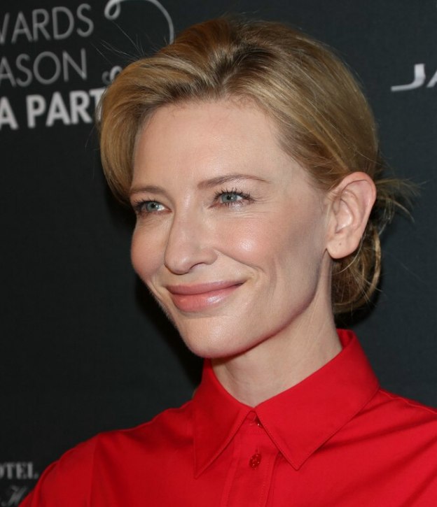 Cate Blanchett  Updo with a bun and a retro dress with 