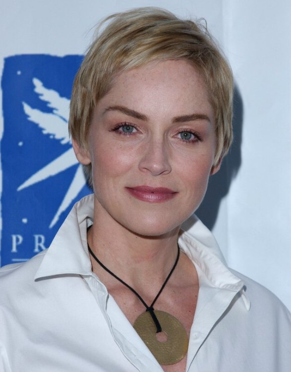 Sharon Stone  Perfectly cut pixie with the hair left 
