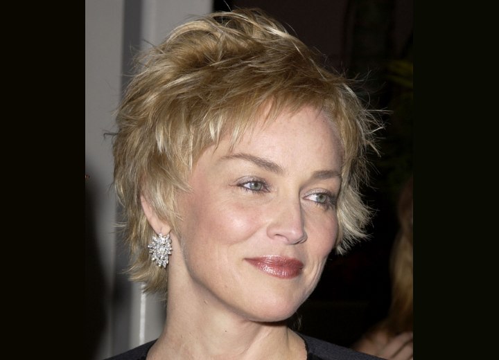 Sharon Stone to guest star in Law & Order: SVU | Reuters.com