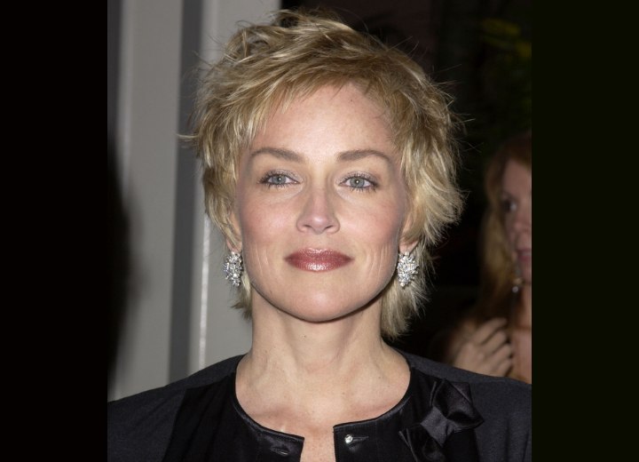 Sharon Stone's Hair Inspiration - wide 5