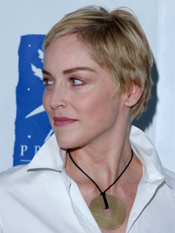 Sharon Stone | Perfectly cut pixie with the hair left longer over the ears