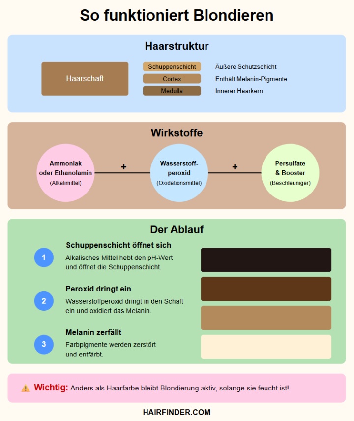 Wie eine Blondierung wirkt
