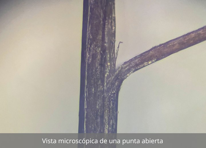 Vista microscópica de una punta abierta