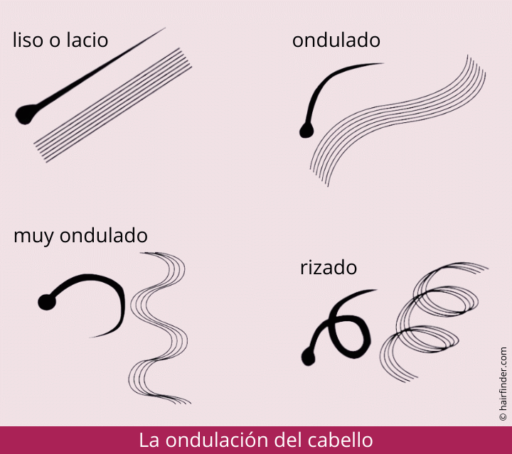 La ondulacin del cabello