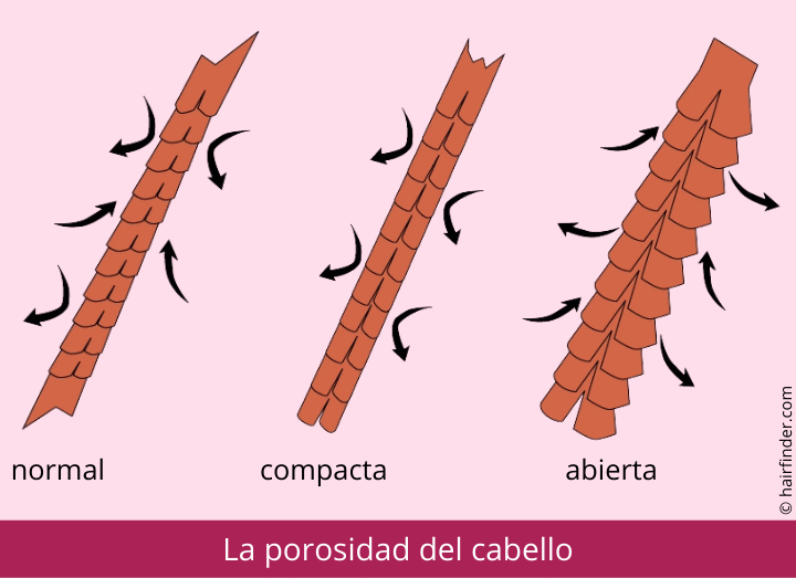 La porosidad del cabello