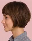 Pixie bob