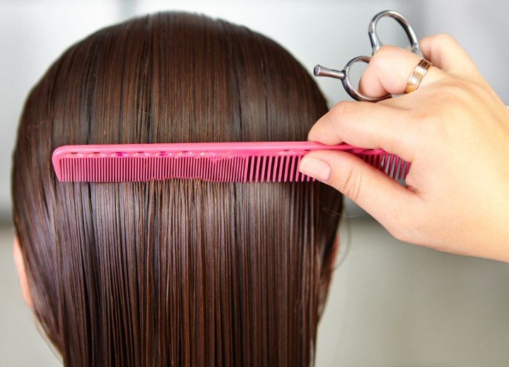 Cabello antes de cortar