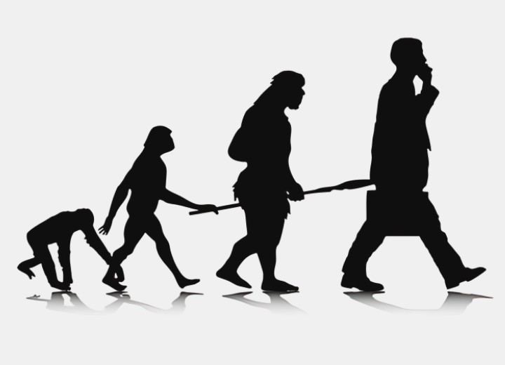 Evoluci&oacute;n humana