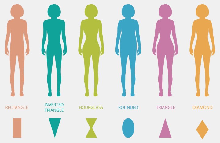 The different body shapes
