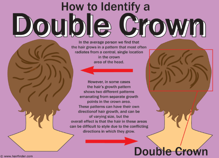 Cheveux avec une double couronne