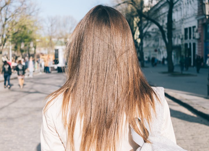Cheveux longs lisses et attrayants vus de l'arrière