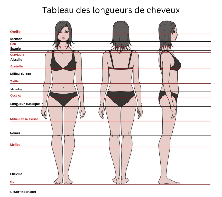 Tableau des longueurs de cheveux