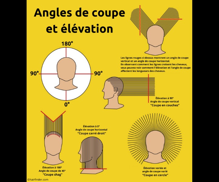 Élévation et angles pour couper les cheveux