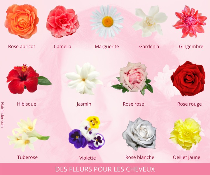 Des fleurs pour les cheveux