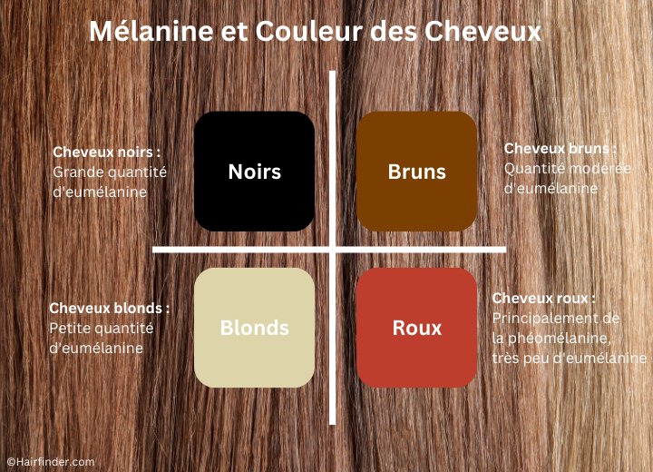 Mélanine, eumélanine, phéomélanine et couleur des cheveux