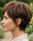Cheveux courts et &eacute;l&eacute;gants