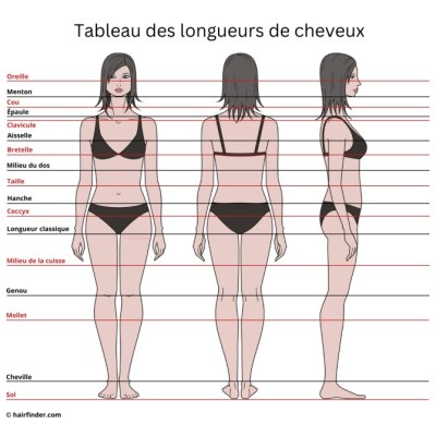 Tableau des différentes longueurs de cheveux