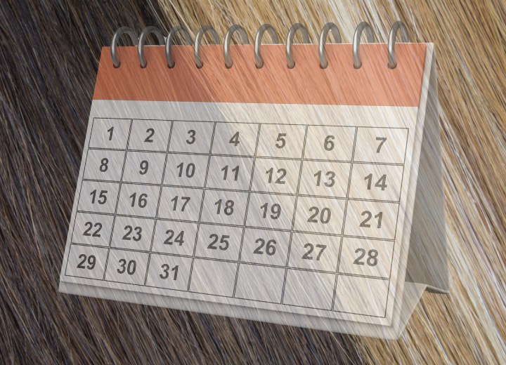 Hair coloring schedule
