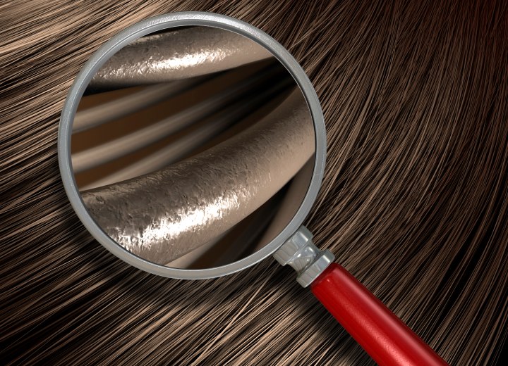 Hair seen through a magnifier