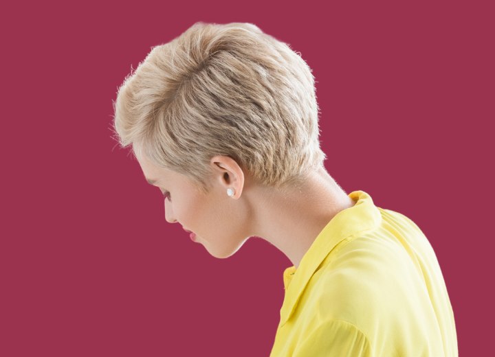 Back view of a cute pixie cut