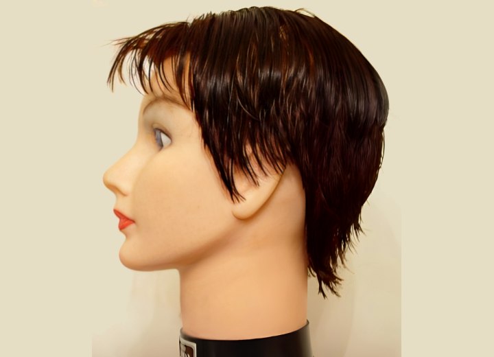 How to cut a short pixie haircut and make sure the hair at the top is cut  to the same length