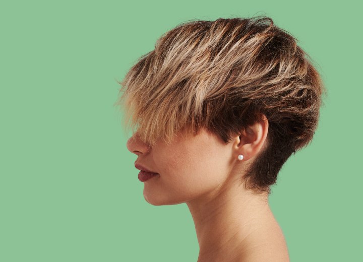 Short hair with highlights