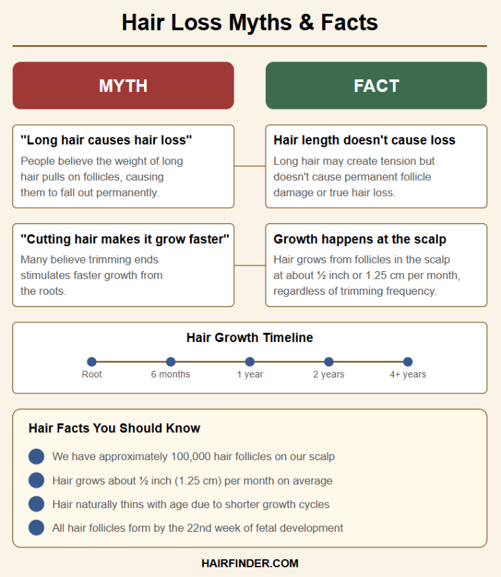 Infographic - Hair loss myths and facts