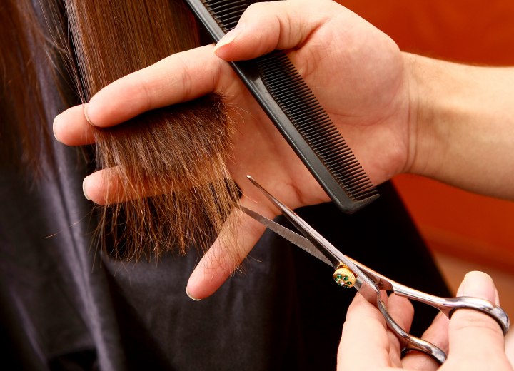 Hairdresser cutting hair