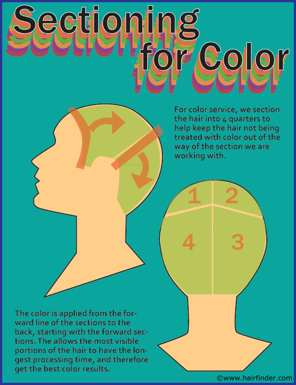 How to section hair or divide the hair when coloring