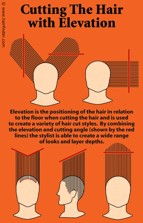 Step-by-step instructions for doing a high-elevation haircut