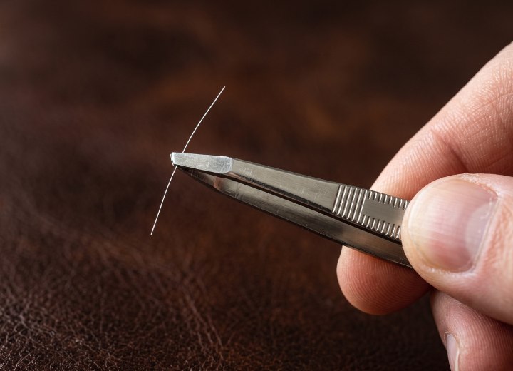Plucked white hair