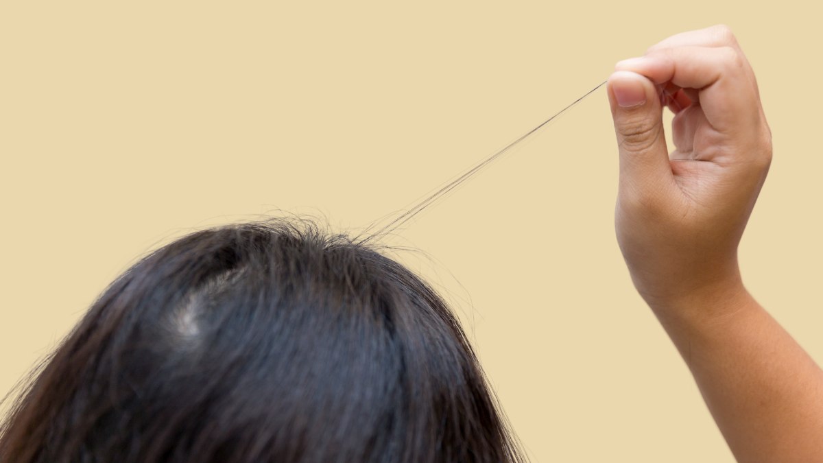 Does pulling gray hairs out cause more to grow back? | Gray hair plucking