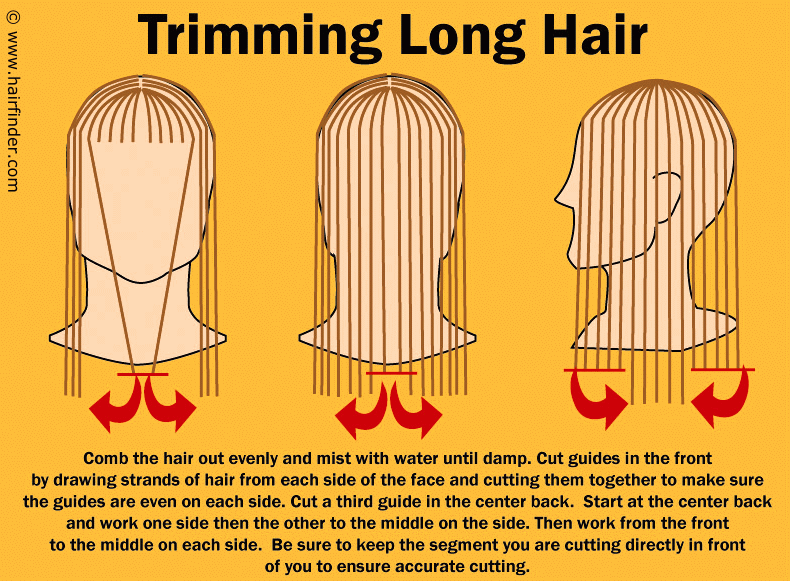 How to cut long hair in a curved line