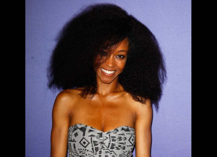 Yaya DaCosta afro hair