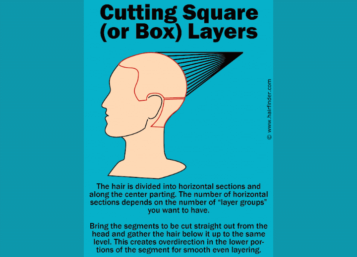 Box layering technique or blunt cut and layers to add texture