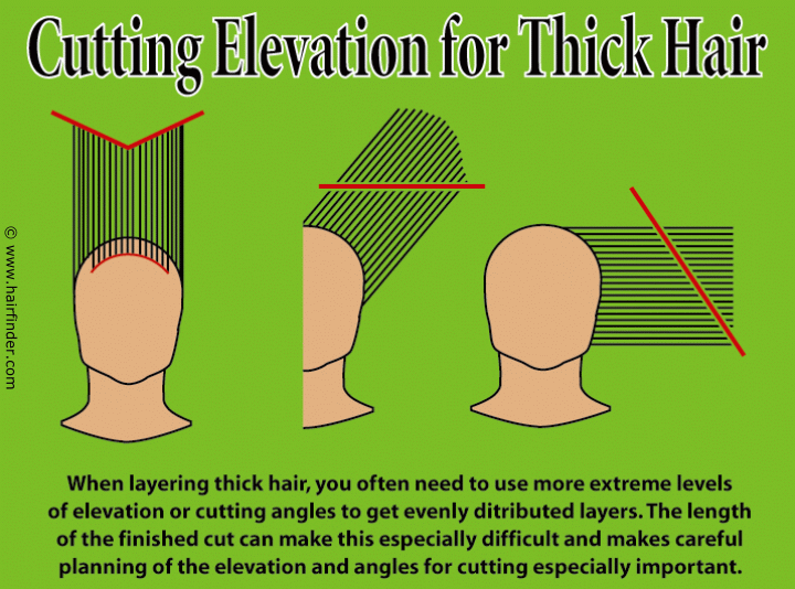 Technique for layering thick hair and hair cutting elevation