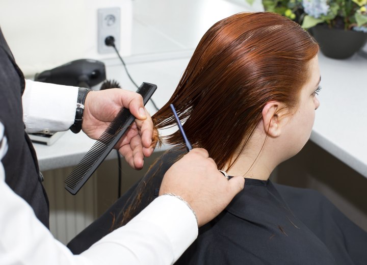 Hairdresser cutting hair