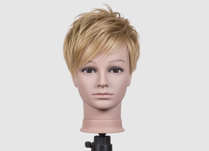 Short hairstyle, inspired by Agyness Deyn