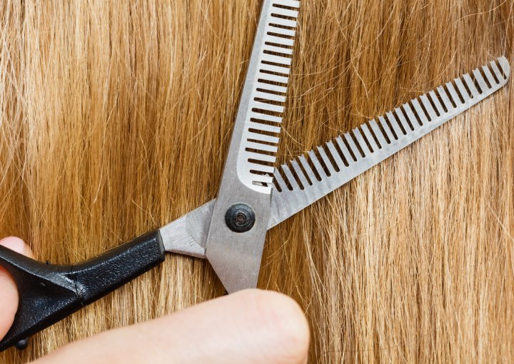 Thinning shears