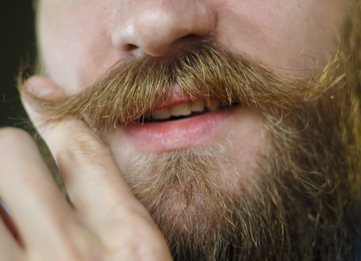 Beard and moustache