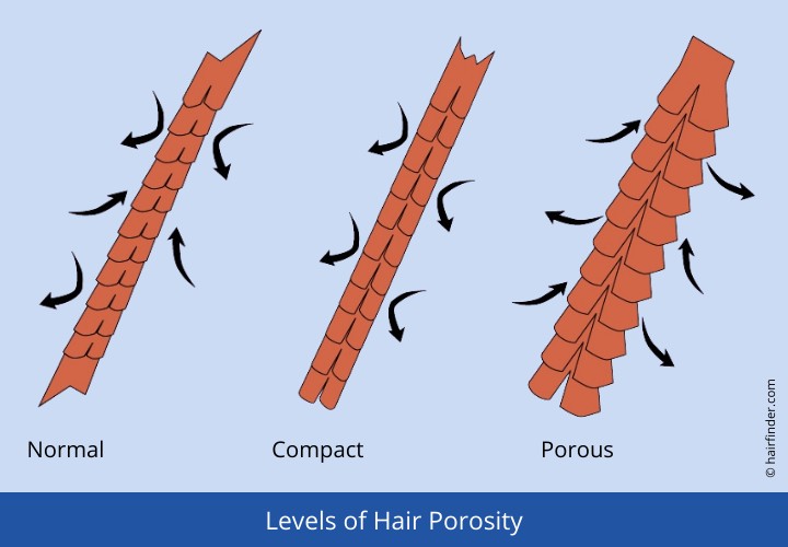 Levels of hair porosity