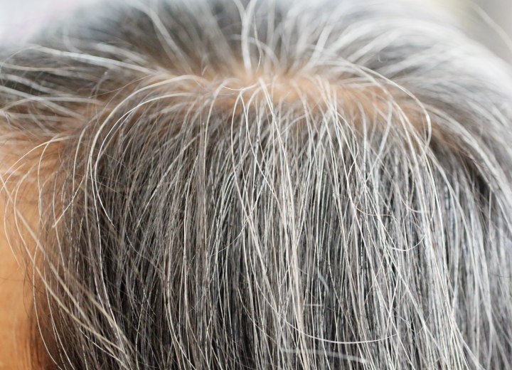 Yellowing gray hair