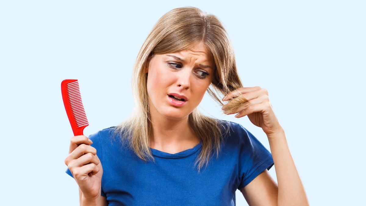 How To Recognize Hair Breakage And See The Difference With New Growth How To Recognize Hair Breakage And See The Difference With New Growth