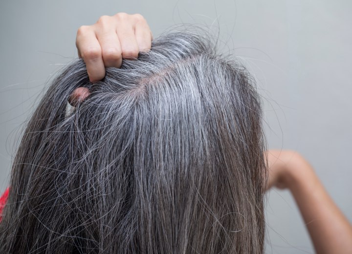 Color resistant gray hair