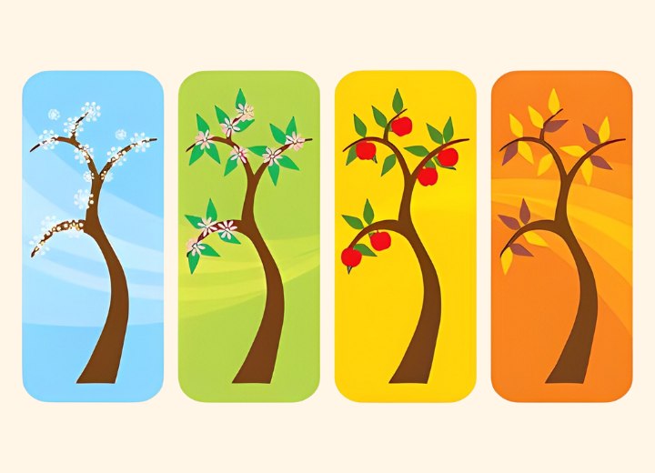 The 4 seasons