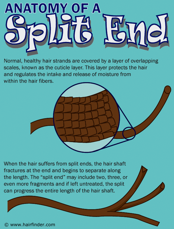 Different Types of Split Ends and What They Mean