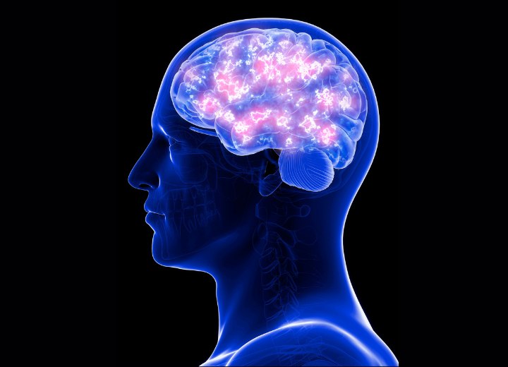 Brain with neurotransmitters