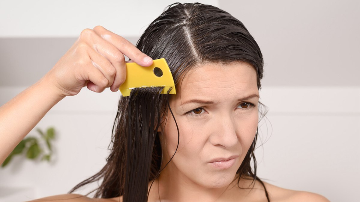 head lice, hairdressers and hair cutting