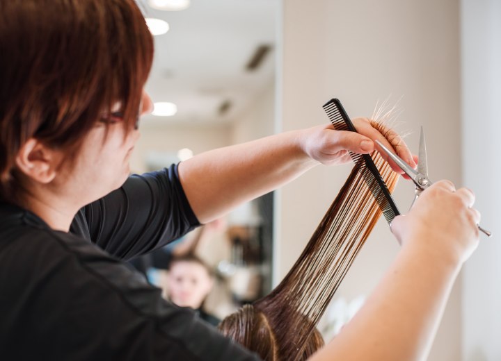 Hairdresser while cutting split ends