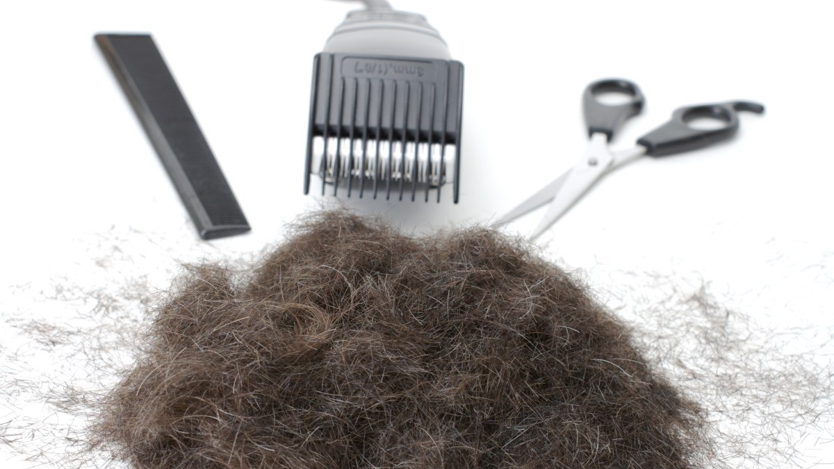 How to shave a head from long hair to stubble length